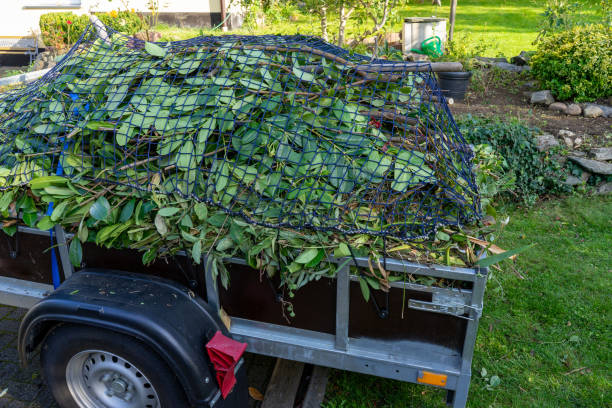 Best Estate Cleanout  in Oolitic, IN